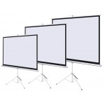 Screen